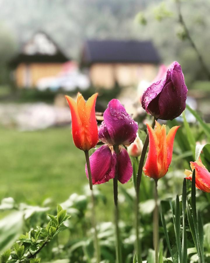 Mala Gorczanska Chatka Ochotnica Dolna Exterior foto